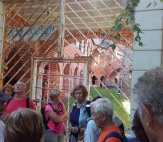 Z Mirne OKUL Mirne (Dolenjska) 17.avgust 2017