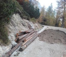 Macesnovi tramovi so pripravljeni