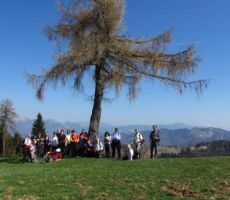 na poti v Idrijske Krnice