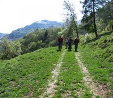 pohajkovanje po planinah