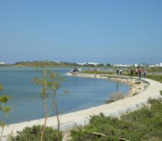 Slano jezero Larnaka