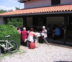 LIPICA, KOKOŠ, BAZOVICA, 29.05.2011