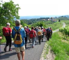 kam neki nas bo Ivan popeljal