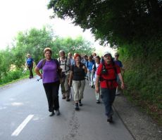 asfalta imajo v Halozah dovolj