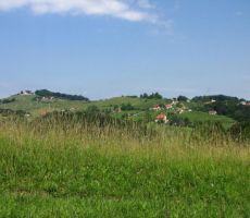 imeli smo lepe razglede po vinorodnih gričkih