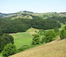 pokrajina je zelo razgibana