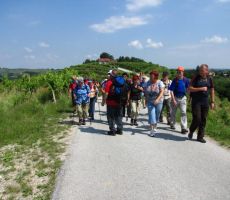 mi pa nadaljujemo proti cilju