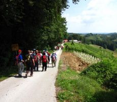 bližamo se kleti in okrepčilu