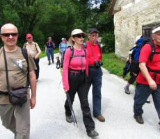 v družbi prijateljev