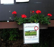 organizator se je resnično potrudil