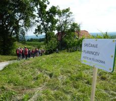 44. srečanje planincev Pošte in Telekoma Slovenije v Halozah, 12. junij 2011