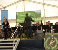 Darja Švajger z orkestrom