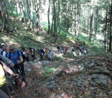 prav prileže se senca