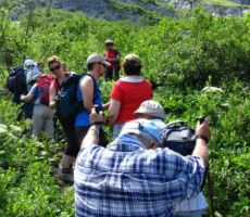 počasi grizemo v kolena proti vrhu