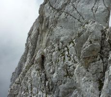 Monte Chiadenis (2459 m)