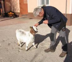 pa si dobila nasprotnika