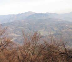 Šentviška planota, zadaj sta Porezen in Kojca