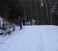 na poti proti Rovtarci