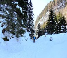 BOGATIN 1977m, 29.01.2012