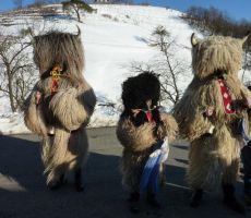 Kurentovanje v Halozah