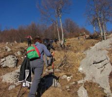 še malo, pa bomo na vrhu
