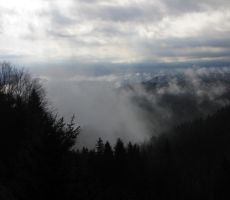 Vreme ni nič kaj obetavno