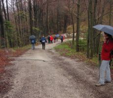 in nato pot v dolino