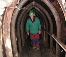 naš Leon je bil na čelu kolone