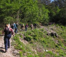 se je kolona raztegnila