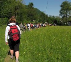 veliko nas jebilo letos na pohodu