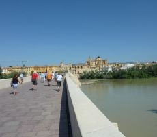 Cordoba
