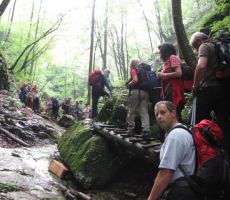 struga potoka Kostanjevic