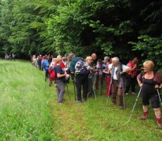 pod Pečinami pridemo na cvetoče travnike