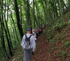 pa še nekaj od Irene