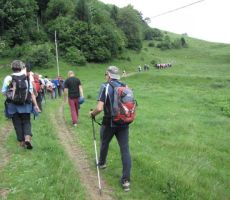 popoldan smo se odpravilil še na Črvov vrh, najvišji vrh Šentviške planote