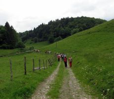 vračali smo se isti poti