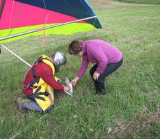 predal jo jo upokojeni upravnici Mileni