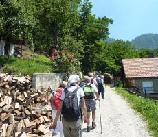 Sonce že močno sije 