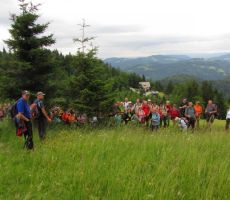 pa tudi veliko razstlin je bilo videti