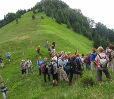 malo pod vrhom je bilo vse polno cvetja