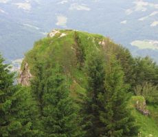 vrh Kope (po Cerkljansko Kapa)