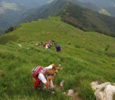 proti vrhu postane pot zelo strma