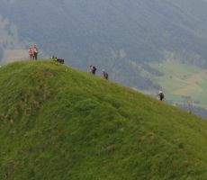 in zagizema u kalina (kot pravijo Cerkljani)