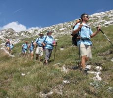 pot jih vodi še v dolino