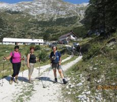 nekateri pa so šli na planino kar po cesti