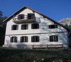 kočo pa lovijo zadnji dnevni sončni žarki