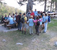 družba pa še kar vstraja