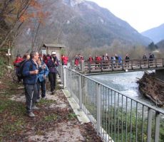 in ob bregu kar nekaj časa korakaki proti stezi, ki vodi do vasi Arbeč