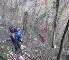 gozdna steza do Arbeča