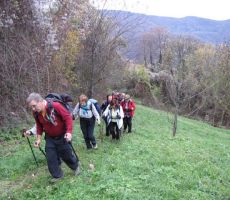 ko smo prižli iz gozda, smo bili že pod vasjo